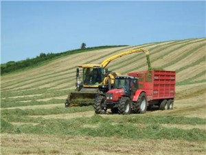 silage making at country kids