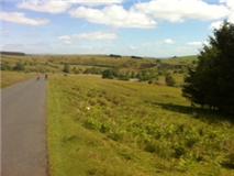 the long slow climb the long slow climb